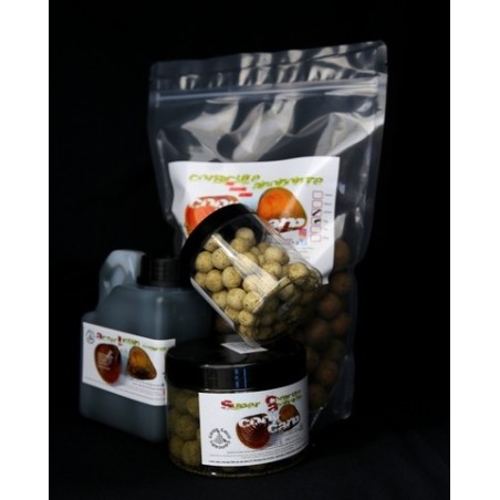 Pack Corbicule Anodonte