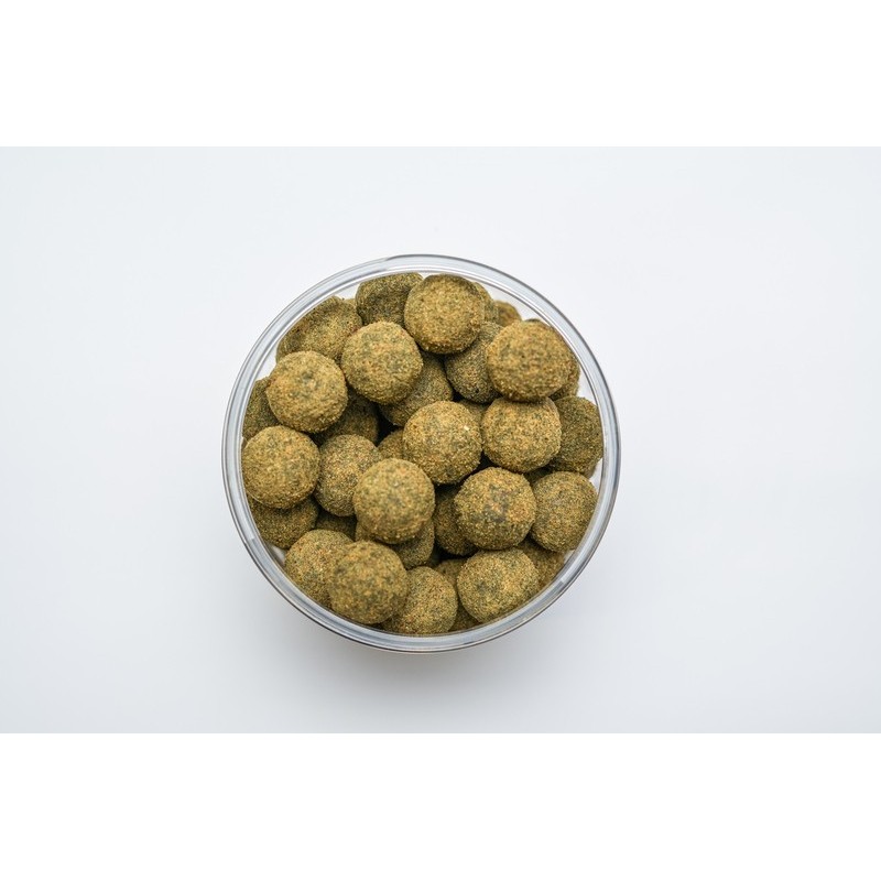 Super Corbicule Anodonte 300gr