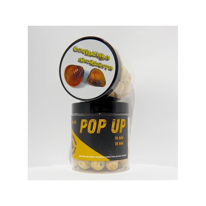 Pop up corbicule anodonte