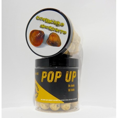 Pop up corbicule anodonte