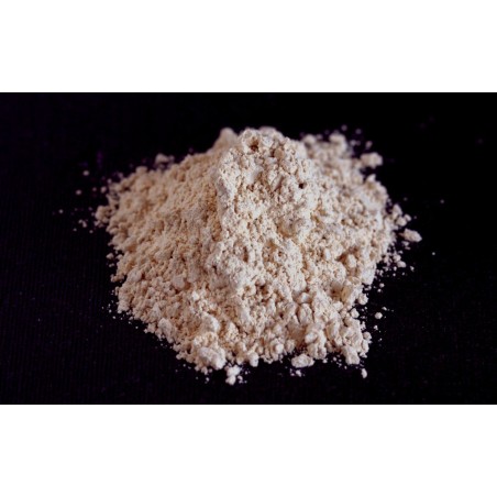 Ail en poudre 1kg