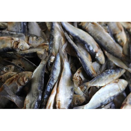 fishs en chips 4/7cm 500gr