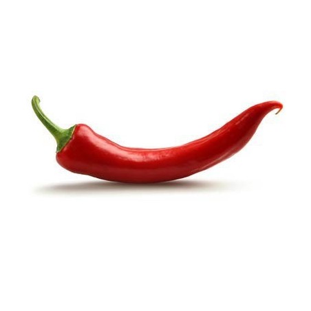 Robin hot chili
